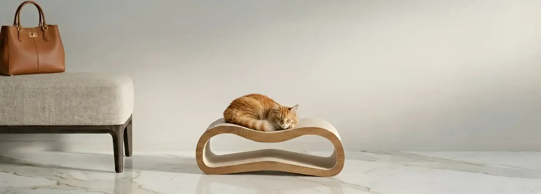 Newsletter background