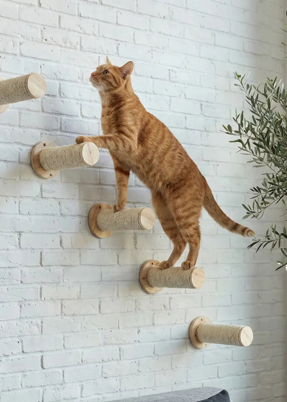 An active orange tabby cat scaling a set of Purrfait Climber floating wall steps, demonstrating the secure grip provided by the sisal rope texture for safe climbing.