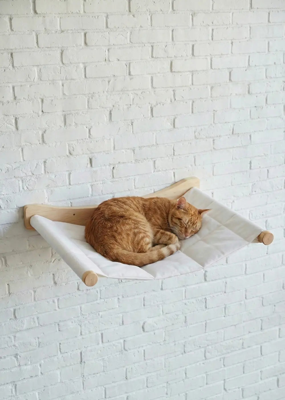 An orange tabby cat sleeping soundly in the Purrfait Perch Lounge, a wall-mounted cat hammock featuring a cozy white quilted fabric and sturdy wooden frame installed on a white brick wall.
