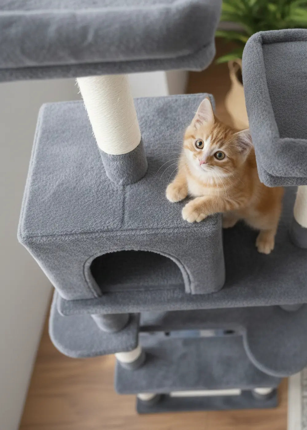 Top-down view of an orange kitten perched on the condo roof of the Purrfait Citadel dark grey tree, looking up towards the higher platforms, emphasizing the vertical climbing space.